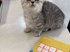 -伟伟宠物医院·CT影像中心·瑞派犬猫综合性门诊(汉口总院)