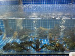 -星记小馆·小蓝龙·老南京砂锅菜(上海路店)