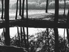 -丁香湖公园