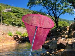 -北仑森林植物园