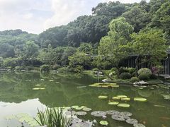-云溪植物园