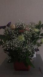 -蔓馨宜母婴护理中心(橡树星座店)