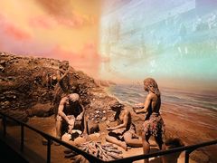 -贝林大翅鲸简餐厅(国家海洋博物馆店)