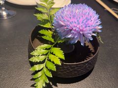 -茶人村·前滩江景雅宴(上海首店)