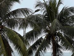 -日月湾海门游览区