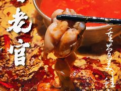 -哥老官重庆美蛙鱼头(日月光店)