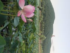 -六鼎山文化旅游区