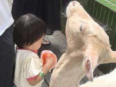 -深圳野生动物园