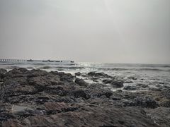 -红树林天天赶海