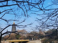 -红梅公园