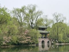 -棠湖公园