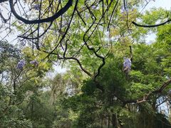 -广东温泉宾馆