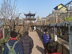 -呀路古热带植物园