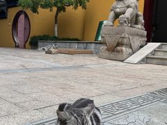 -九龙潭景区