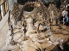 -自贡恐龙博物馆