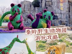 -西安秦岭野生动物园