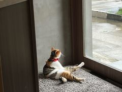 -Again Coffee Roaster(香蜜湖店)