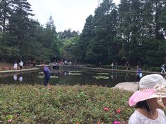 -庐山风景区花径公园