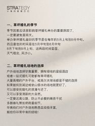 -鱼映像摄影·珍藏级影像品牌