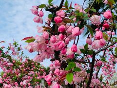 -玄武湖景区-情侣园游乐场