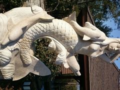 android_upload_pic-天目湖涵田半山温泉水乐园