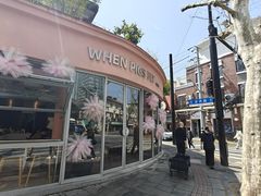 -WHEN PIGS FLY当猪飞
