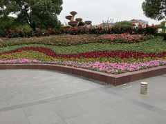 -七宝老街-闵行市民文化广场
