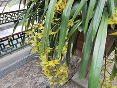 -木府