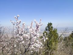 -北京鹫峰国家森林公园