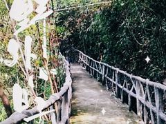 -亚婆田·白水寨生态旅游度假区