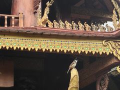 -西双版纳总佛寺