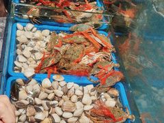 -曼格活海鲜·牛排自助(光明蓝鲸店)