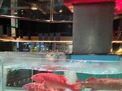 -阿伟海鲜楼·福建菜(延寿店)