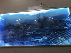 -白水洋瓦罐(特房·五缘尚座店)