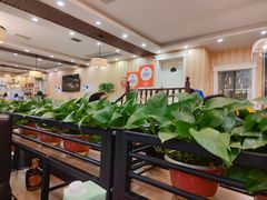 -桃子餐厅·天津菜(红星路直营店)