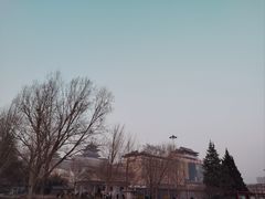 -莲花池公园