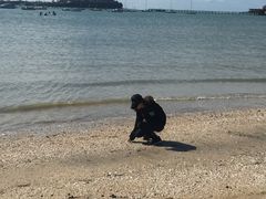 -豪拉基湾