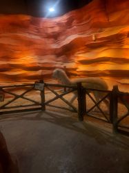 -酷嗒动物文化乐园(cutezoo西溪乐天城店)