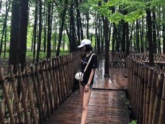 -富君租车(外滩店)