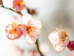 -欧歌堡KTV PARTY(万濠城店)