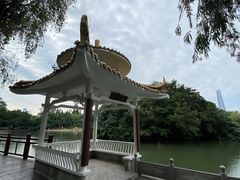 -荔枝公园(福田区)