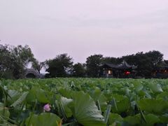 -高子水居