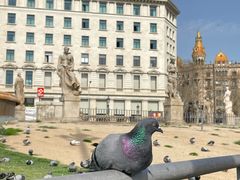 -加泰罗尼亚广场