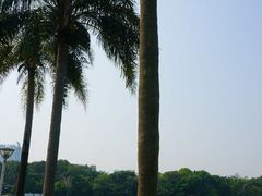 -南宁南湖公园