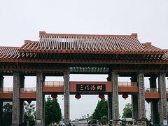 -三垟湿地