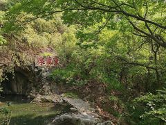 -宁波市保国寺古建筑博物馆