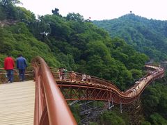 -少华山国家森林公园
