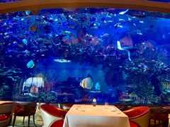 -迪拜帆船酒店海底餐厅