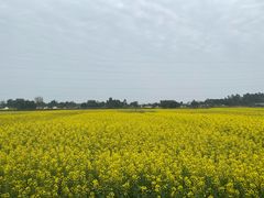 -中国天府农业博览园