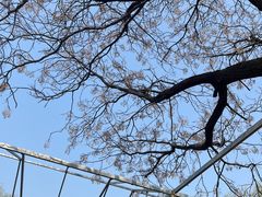 -洛阳市隋唐城遗址植物园